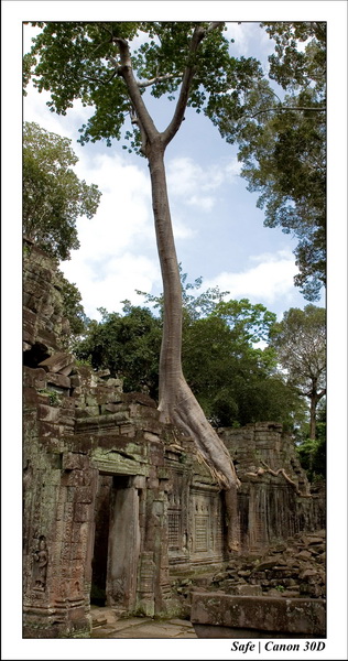 2006 - 07 - Temple angkor - Phrea Khan 34